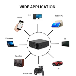 Creatall Tpa3116 Kỹ Thuật Số Âm Thanh Bộ Khuếch Đại Công Suất <span class=keywords><strong>100Wx2</strong></span> Mini Hifi Stereo Class D Âm Thanh Bộ Khuếch Đại Công Suất Cho Rạp Hát Tại Nhà - Product Image 5