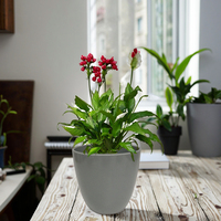 Pot de fleur en plastique d'intérieur de style chinois de luxe de ventes d'usine petites jardinières rondes pour l'application de kit de chambre à coucher de décoration à la maison