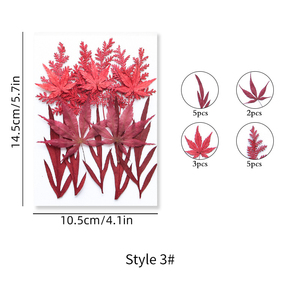 ZS025 Plantes séchées, fleurs pressées, verdure et fougères pour décorations de Noël et de remise de diplôme, pour la création de savons, bougies, cadres et colliers - Product Image 6