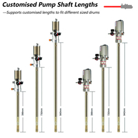 Pompe à graisse pneumatique 40:1 50:1 60:1 haute pression 200L, kit de pompe à graisse pneumatique pour fût de 15kg 200L