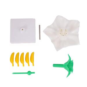 Modelo de Estructura de Flor de Papa Ampliada 5 Veces con Base Desmontable, Modelo de Anatomía Floral para la Enseñanza de Biología - Product Image 3