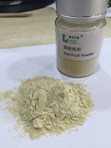 Gói tùy chỉnh số lượng lớn <span class=keywords><strong>Kiwi</strong></span> BỘT UỐNG <span class=keywords><strong>Kiwi</strong></span> bột cấp thực phẩm nhà máy chiết xuất ánh sáng bột màu vàng Superfood màu xanh lá cây <span class=keywords><strong>KiWi</strong></span> chiết xuất - Product Image 5