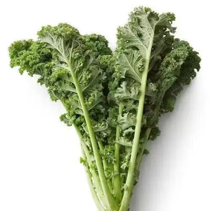 Lechuga Verde <span class=keywords><strong>Congelada</strong></span> IQF, Vegetales de Hoja Verde Saludables para la Producción de Smoothies y Jugos, a Granel - Product Image 1