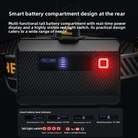Lampes frontales LED laser haute puissance 15W, direct usine, avec 3 batteries, pour patrouille de sécurité, OEM