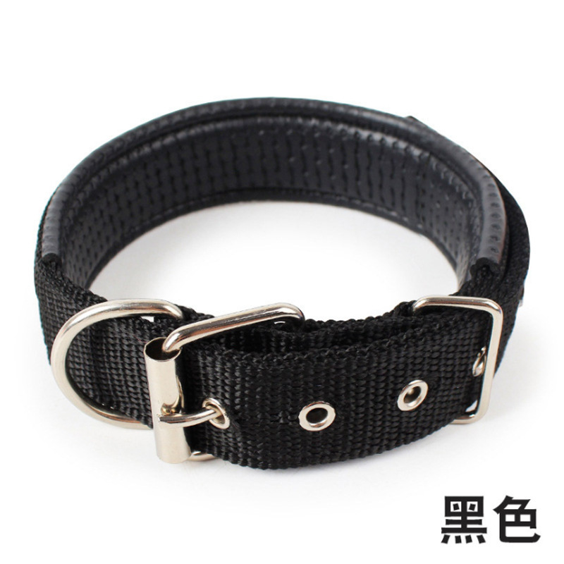 Collier pour animaux