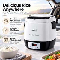 Cuiseur à riz électrique portable pour voiture, extérieur, 220V, 1,5L, avec minuterie numérique et fonction maintien au chaud pour le camping