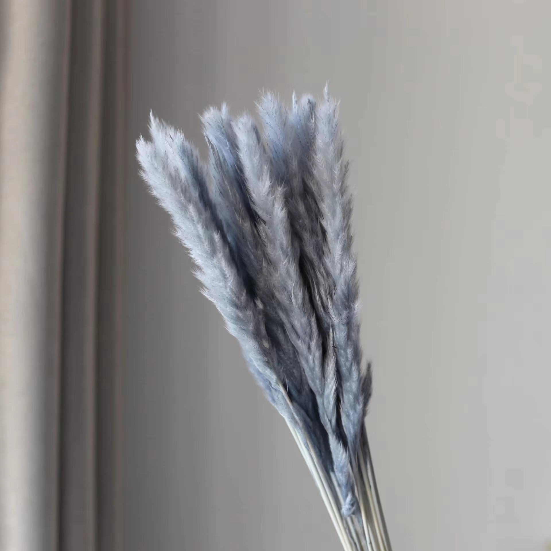 Gris