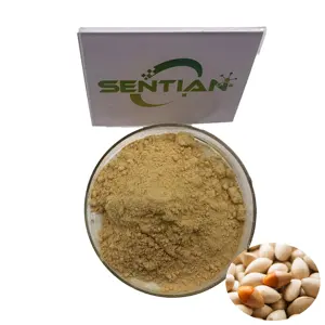 Tinh dịch Ginkgo hạt Ginkgo Biloba chiết xuất bột Ginkgo Biloba lá chiết xuất