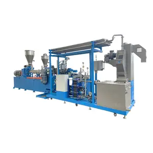 PE and CaCO3 Filling Masterbatch Twin Screw Extruder Production Extruder Line