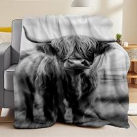 Couverture en flanelle polaire super douce, couleur unie, grande taille, chaude et romantique, pour lit, canapé, couple, cadeau d'anniversaire, vente en gros OEM