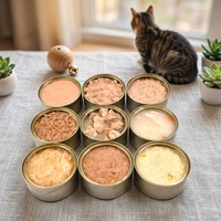Sachets de nourriture humide pour chat à haute teneur en eau, soutien hydratant, OEM ODM Marque Privée, Snacks sains pour animaux de compagnie