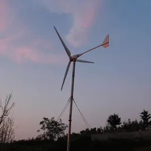 Wind Turbine 48V 5kw Free Alternative Energy Windmill With MPPT Hybrid Controller 3 Blades