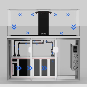 ถังเลี้ยงปลาแก้วสี่เหลี่ยมผืนผ้า300แกลลอนเป็นมิตรต่อสิ่งแวดล้อม - Product Image 6