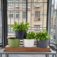 Nouveau design 2025 – Pots suspendus en métal peint en poudre multicolores, faits à la main, style moderne, écologiques, en fer, pour la décoration intérieure et extérieure