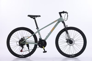 Vélo Jeep 12 à 18 ans adolescent VTT étudiant hommes et femmes Style vélo de marche-EX1 - Product Image 6