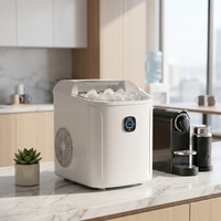 Machine à glaçons électrique professionnelle, glaçons en forme de balle, capacité de 10-20 kg/jour, design compact en plastique pour comptoir, idéale pour usage domestique et hôtelier