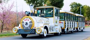 <span class=keywords><strong>Train</strong></span> pour touristes à bas <span class=keywords><strong>prix</strong></span>, modèle, ne prend pas de temps, tourisme, <span class=keywords><strong>petit</strong></span> Dotto, sans dos, en vente - Product Image 3