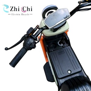 Bicicleta Eléctrica Urbana de Dos Plazas, 500W, 48V, con Pedal, para Ciudad, con Velocidad Máxima, Categoría de Motocicletas Eléctricas - Product Image 6