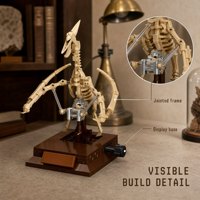 Ensemble de blocs de construction OEM personnalisés sur le thème des fossiles de dinosaures, modèle d'exposition de pterosaure, jouet éducatif pour enfants, collection STEM, décoration, vente en gros