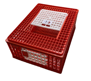 Kanatlı taşıyıcı sandık plastik tavuk taşıma kafesi tavuk taşıyıcı seyahat sandık sepet kutusu için kanatlı kuş ördek kaz kalıp - Product Image 3