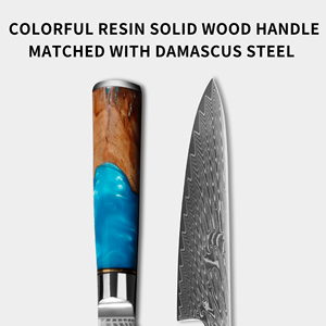 Nhựa sắc nét xử lý dao nhà bếp Damascus thép đầu bếp dao cho nhà hàng khách sạn ẩm thực - Product Image 5