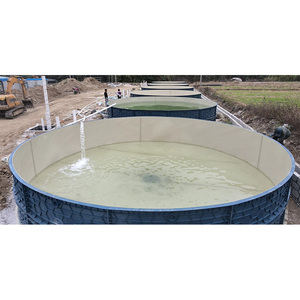 Tanque <span class=keywords><strong>de</strong></span> <span class=keywords><strong>Peces</strong></span> Redondo <span class=keywords><strong>de</strong></span> PP YT-PP01 <span class=keywords><strong>de</strong></span> Suministro <span class=keywords><strong>de</strong></span> Fábrica para Acuicultura y Cultivo <span class=keywords><strong>de</strong></span> Camarones, Colores Personalizables, Capacidad <span class=keywords><strong>de</strong></span> 39.5m3 - Product Image 1