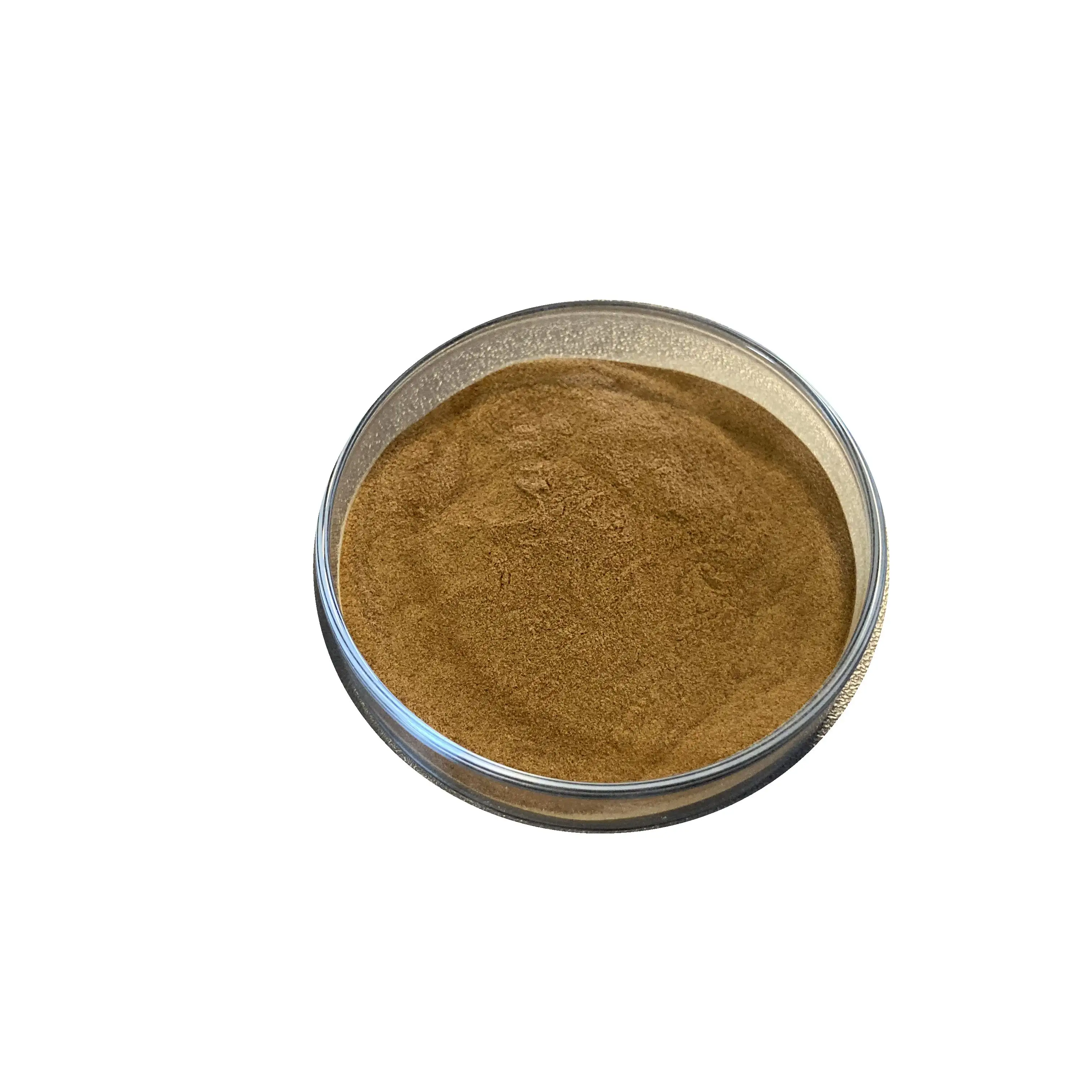 High Quality 50% Polysaccharides 10:1 Reishi Mushroom Extract Powder