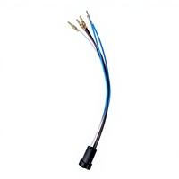 Harnais électrique, assemblage de câbles pour compteur électrique intelligent, câbles électriques étanches