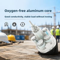 Kabel Daya XLPE Berlapis Baja 3 Inti + 2 Inti Aluminium 3 Fasa Dengan Kawat Netral dan Kawat Pembumian 3*16 50 70 95mm2 untuk Pabrik Pengisi Daya EV