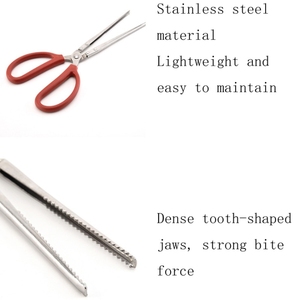 Granchio Pinze Loach Pinze <span class=keywords><strong>Mare</strong></span> Strumento, Modello: 38 centimetri Clip Curvo - Product Image 5