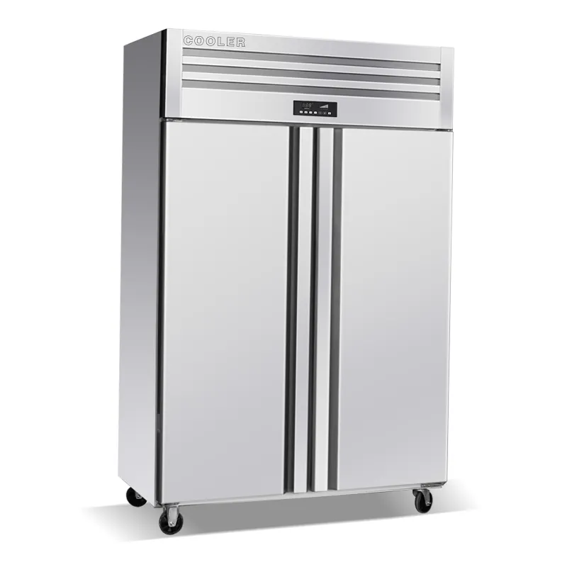 Refrigerador e congelador vertical de alta temperatura com 2 portas de grande capacidade