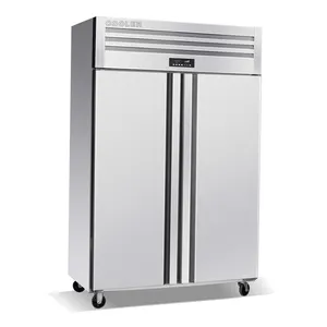 대용량 2 도어 단일 온도 상단 직립 냉동고 냉동고 및 냉장고
