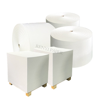 Carton blanc personnalisé grand format 190-230g FBB, papier cartonné 70x100cm anti-ondulation, recyclable, certifié SGS
