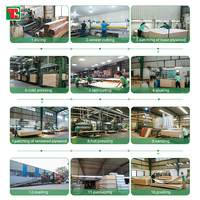 Contreplaqué décoratif plaqué de placage de bouleau Tongli E0 naturel, taille personnalisée 4x8 pieds, pour panneaux architecturaux et fabrication de meubles