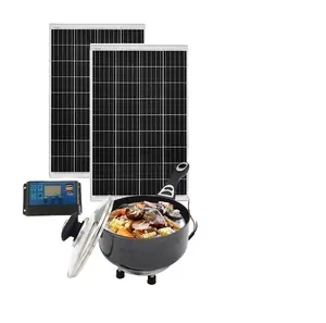 Trending Portable Camping Dc Solar Stove Rice Cooker Electric Lunch Fry Cooker