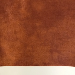 Nouveau design Iran et turquie poly bronzage looks cuir DTY FDY velboa melita canapé tissu - Product Image 2