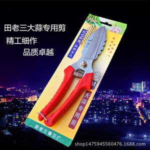 Ciseaux à ail Tian Lao San 5 pouces en acier inoxydable à tête droite, ciseaux de cuisine robustes pour couper les gousses, les racines et les tiges d'ail - Product Image 1