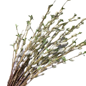 Künstlicher Weißer Weidenzweig Seidenblumenstiel für Hochzeits- und Heimdekoration sowie Fotografie-Styling - Product Image 5