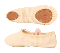 Chaussures de danse de Ballet en toile professionnelle femmes ballerine pantoufles de danse plates femmes chaussure de Ballet pour dame danse compétition et pratique