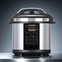 Cuisinière à pression électrique programmable en acier inoxydable de haute qualité, capacité 5L/6L, pour hôtel et usage domestique, avec fonction vapeur