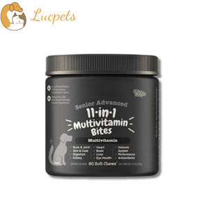 ODM OEM الكلب القط بعد الجراحة/بعد المرض مكملات غذائية متخصصة الفيتامينات المتعددة تدعم المناعة امتصاص سريع - Product Image 1