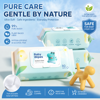 Toallitas Húmedas para Bebé Ecológicas Personalizadas OEM/ODM, Ultra Suaves y Perfumadas, Sin Alcohol y Totalmente Naturales, Portátiles, Más Vendidas en Europa y Estados Unidos