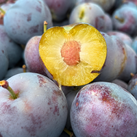 Plum Hitam Cina Kualitas Premium 10kg Pflaume Buah Segar Pemasok Ekspor