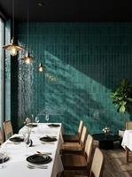 Carreaux de céramique vitrifiés antidérapants de luxe 75*230mm, motif plume intégrale, brillants, résistants aux acides, pour salle de bain et spa modernes