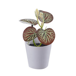 Plantes vertes artificielles de haute qualité en pot, fleurs artificielles décoratives pour salon, mini bonsaïs, ornements, pots de plantes en plastique - Product Image 6