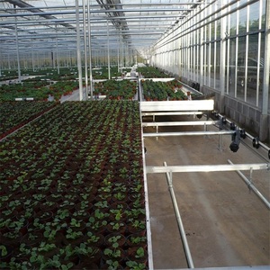 ONE-ONE Indoor Vertical Grow Rack for Hydroponic <b>Greenhouse</b> Ebb Flow Flood <b>Table</b> Tray Nursery Irrigation Equipment - Product Image 4