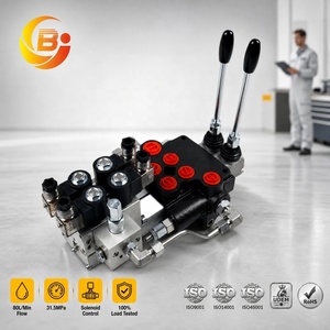 Válvula de Control Hidráulico Eléctrico Direccional Monobloque Junbao P80-2, 80Lpm, 315Bar, para Tractor y Maquinaria Agrícola, OEM - Product Image 1