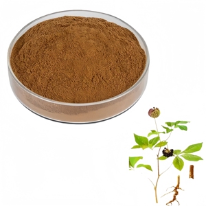 Poudre d'extrait de racine d'Eleutherococcus Senticosus (Ginseng de Sibérie) - Approvisionnement direct usine - Product Image 6