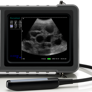 Periodieke Draagbare Medische Veterinaire Echografie Apparatuur Dier Echografie Scanner - Product Image 5