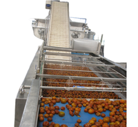 Chaîne de production de pâte de date de la capacité 500kg/hr-2000kg/hr